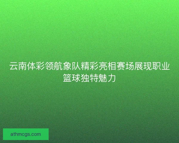 云南体彩领航象队精彩亮相赛场展现职业篮球独特魅力