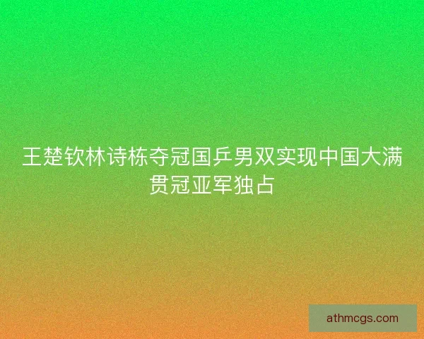 王楚钦林诗栋夺冠国乒男双实现中国大满贯冠亚军独占